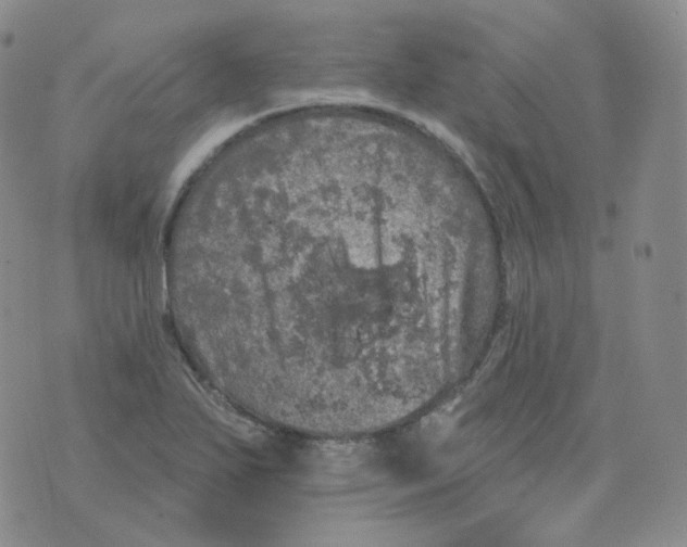 X0000076061271200610152153