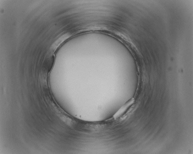 X0000076061273200610152153