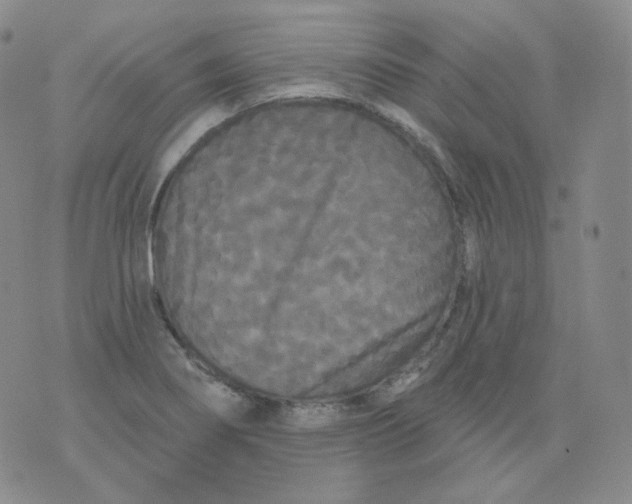 X0000076061274200610152153