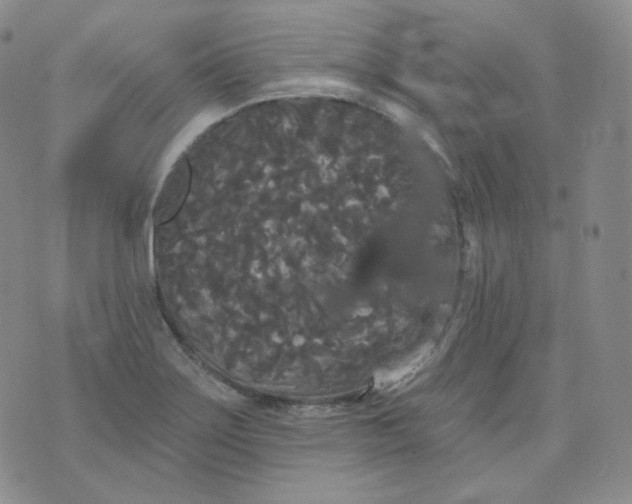 X0000076061275200610152153