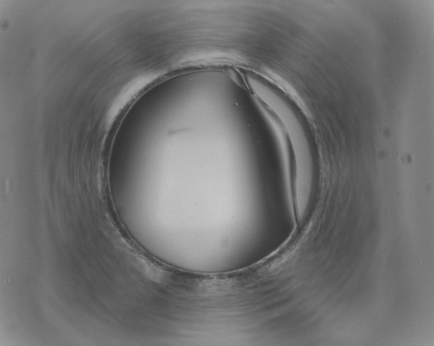 X0000076061277200610152153