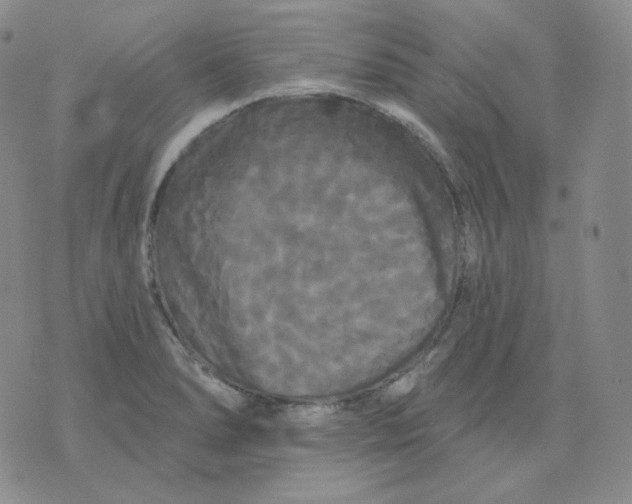 X0000076061278200610152153