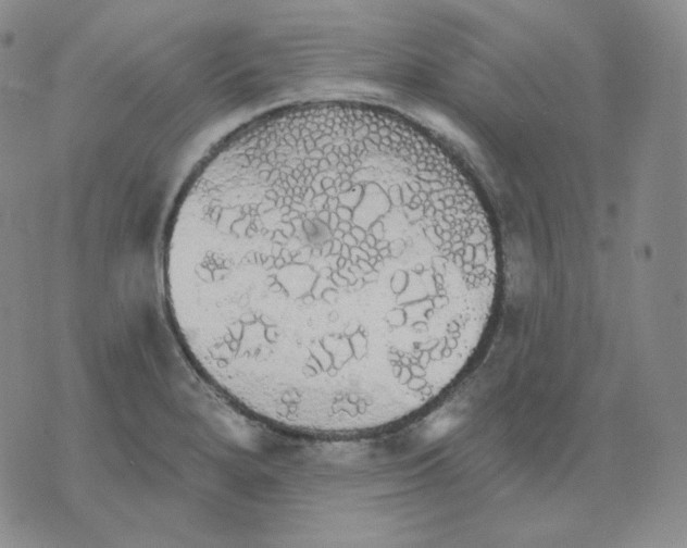 X0000076061280200610152153