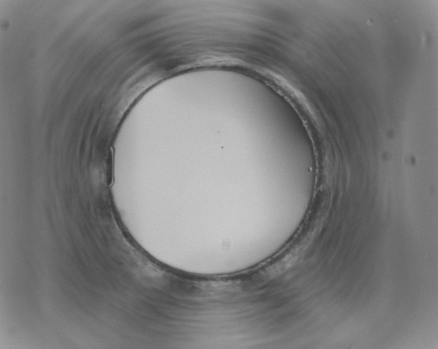 X0000076061281200610152153