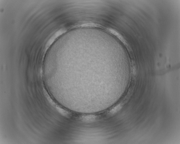 X0000076061282200610152153