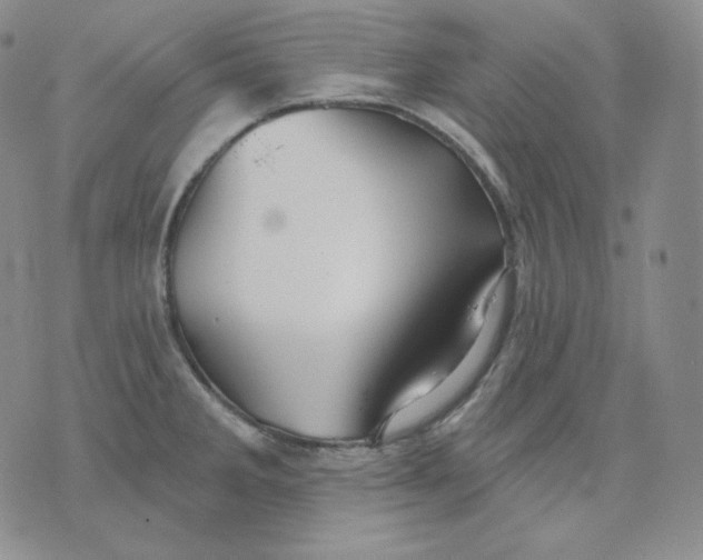 X0000076061285200610152153