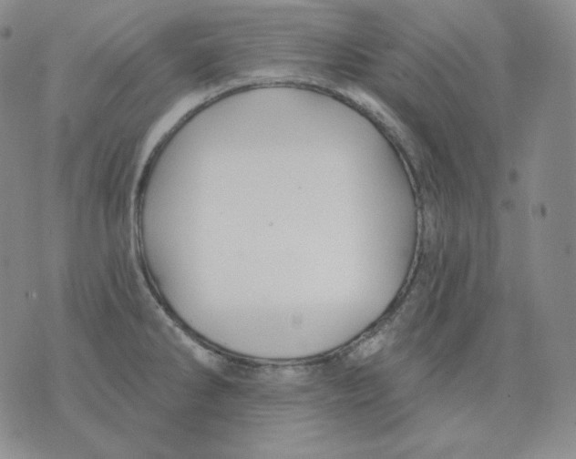 X0000076061286200610152153