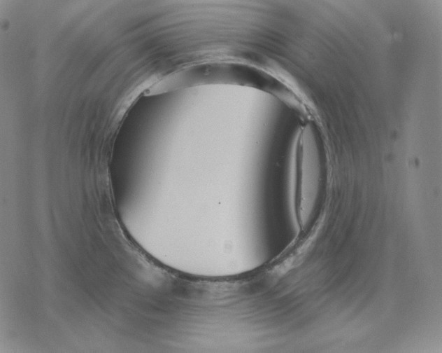 X0000076061289200610152153