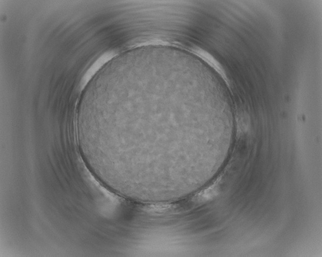 X0000076061290200610152153