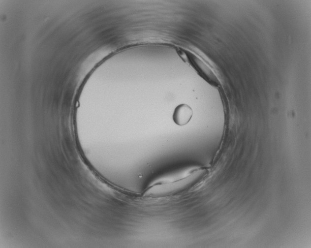 X0000076061293200610152153