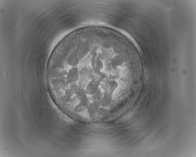 X0000076061295200610152153