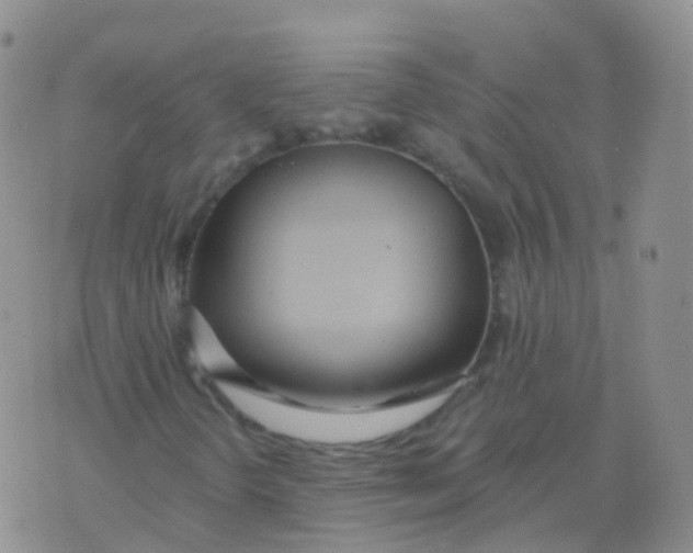 X0000076061298200610152152