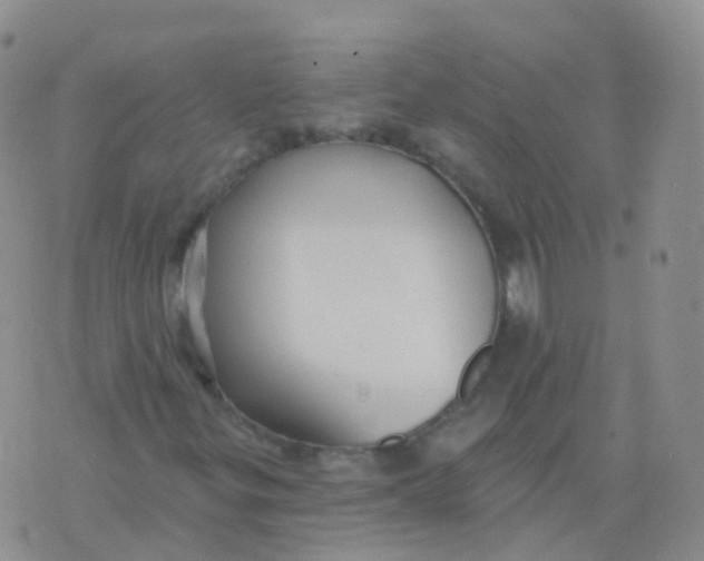 X0000076061299200610152152