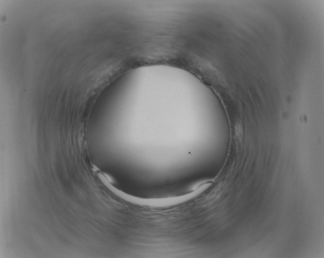 X0000076061300200610152152