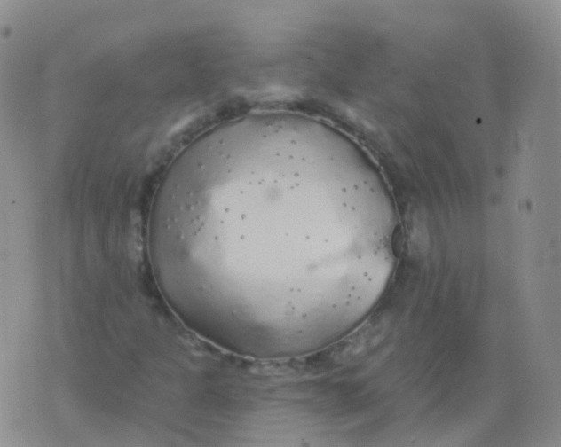 X0000076061301200610152152