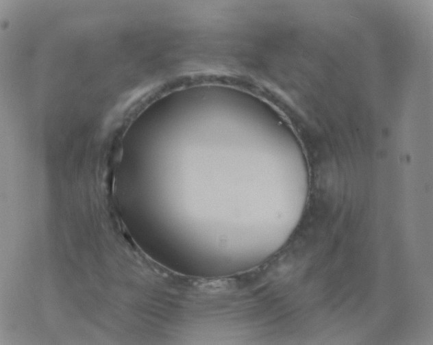 X0000076061303200610152152