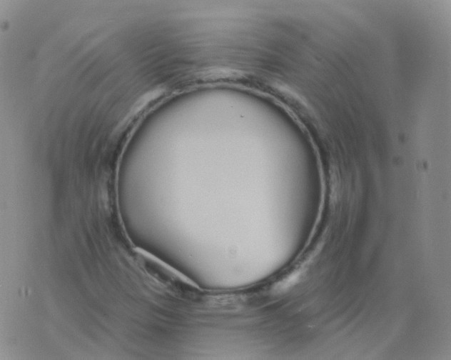 X0000076061305200610152152