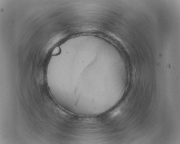 X0000076061306200610152152