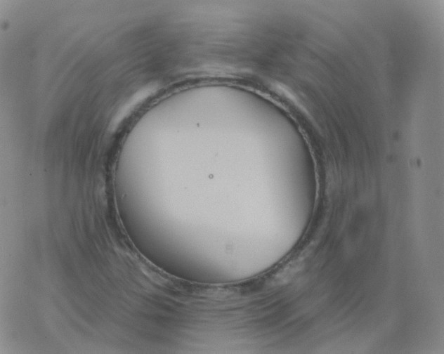 X0000076061307200610152152