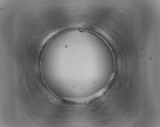 X0000076061308200610152152