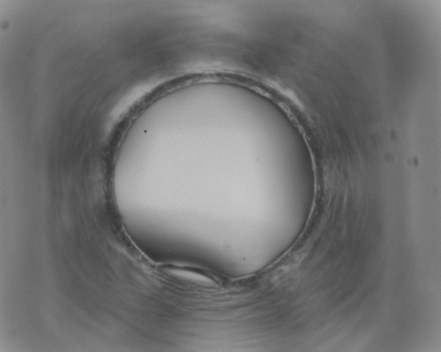 X0000076061311200610152152