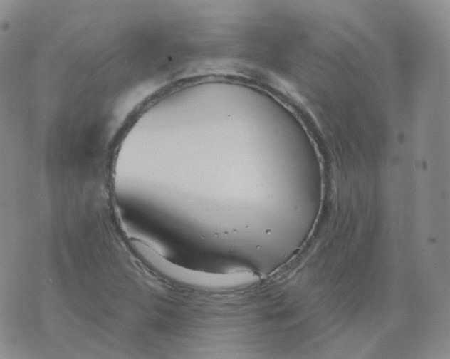 X0000076061312200610152152