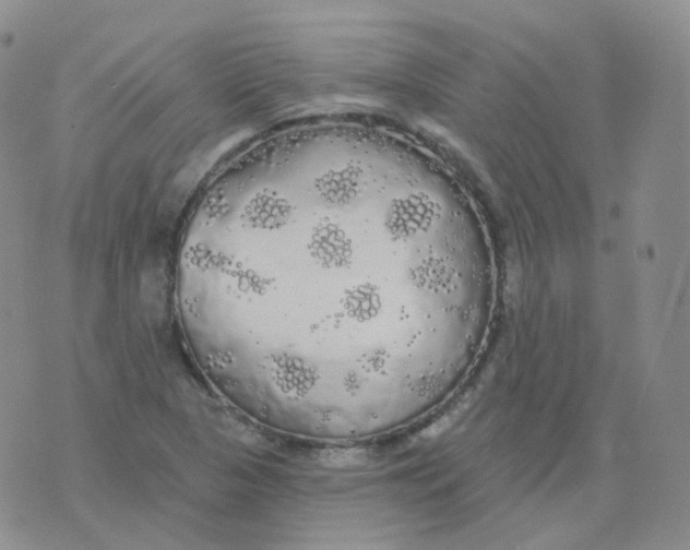 X0000076061313200610152152