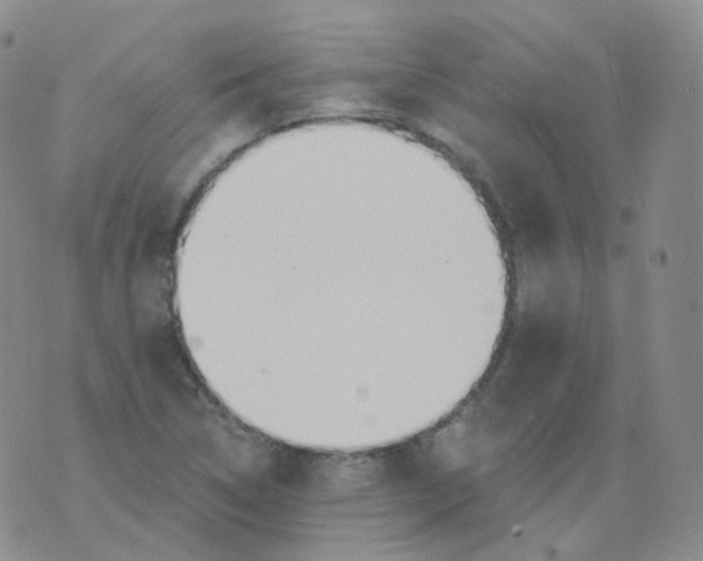 X0000076061314200610152152