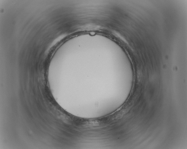 X0000076061315200610152152