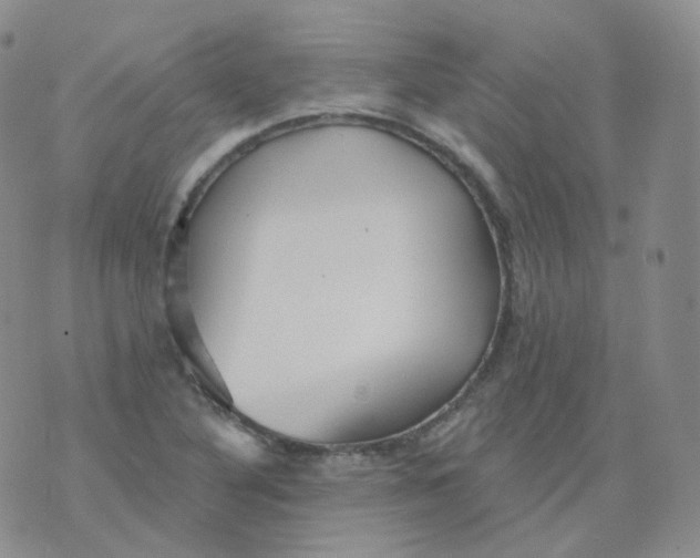 X0000076061316200610152152