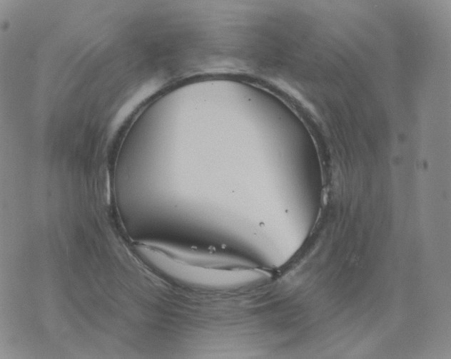 X0000076061317200610152152