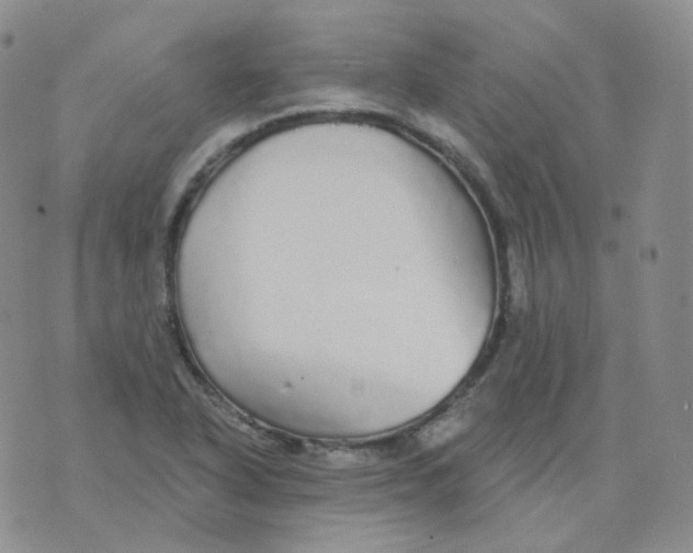 X0000076061318200610152152