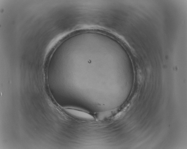 X0000076061319200610152152