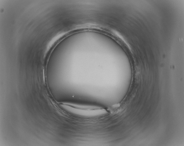 X0000076061320200610152152