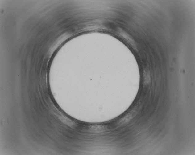 X0000076061322200610152152