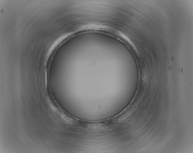 X0000076061323200610152152