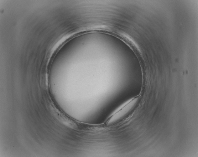 X0000076061324200610152152