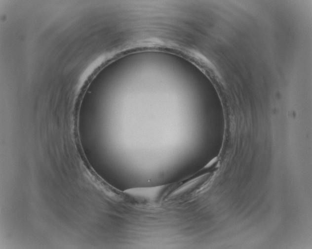 X0000076061326200610152153