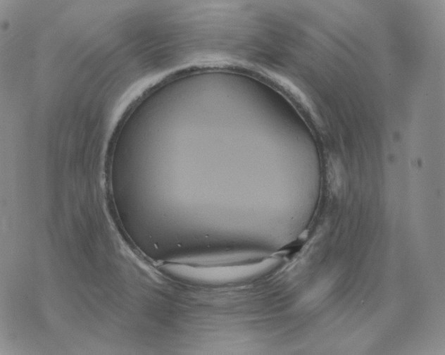 X0000076061327200610152153