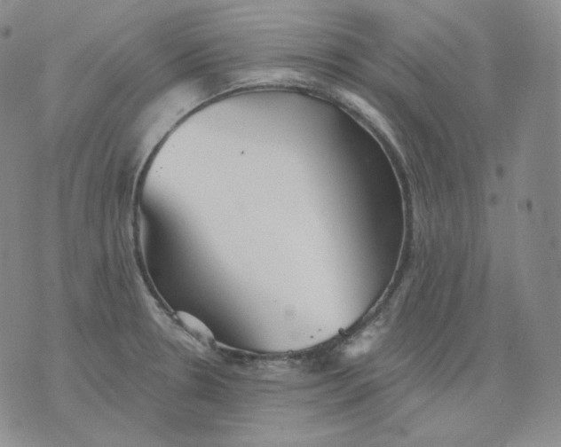 X0000076061330200610152153