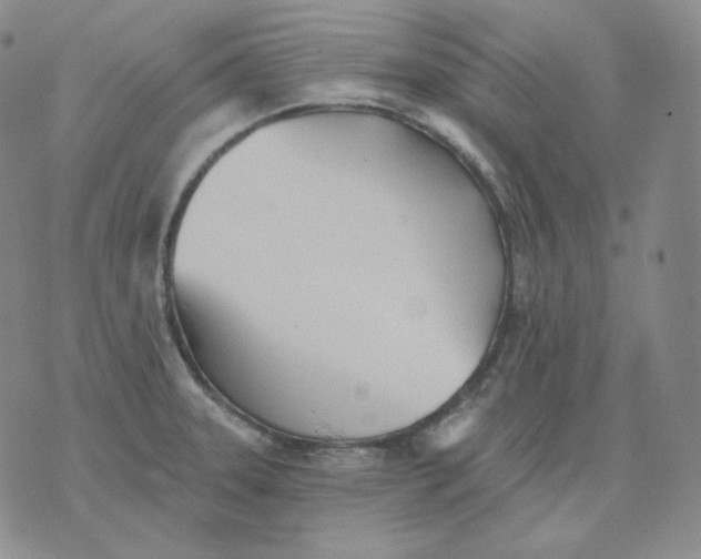 X0000076061331200610152153