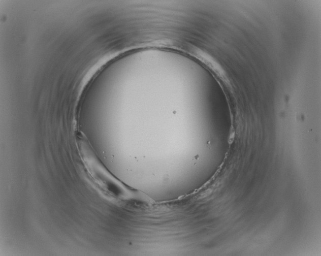 X0000076061332200610152153