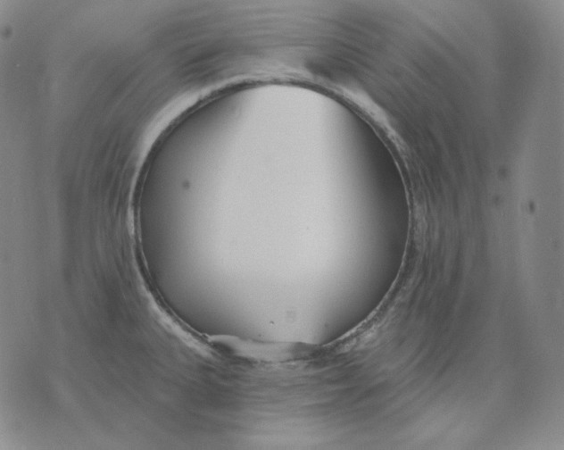 X0000076061335200610152153