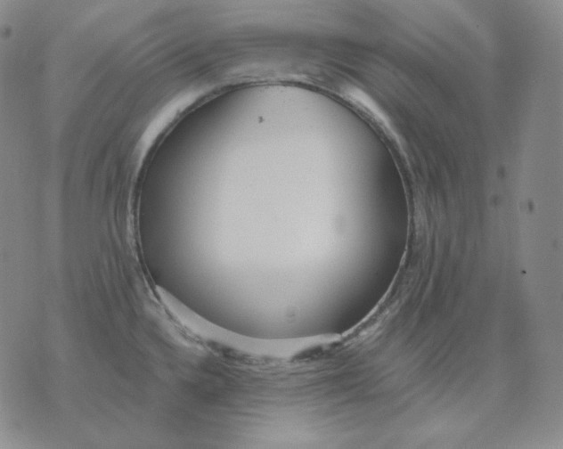 X0000076061336200610152153