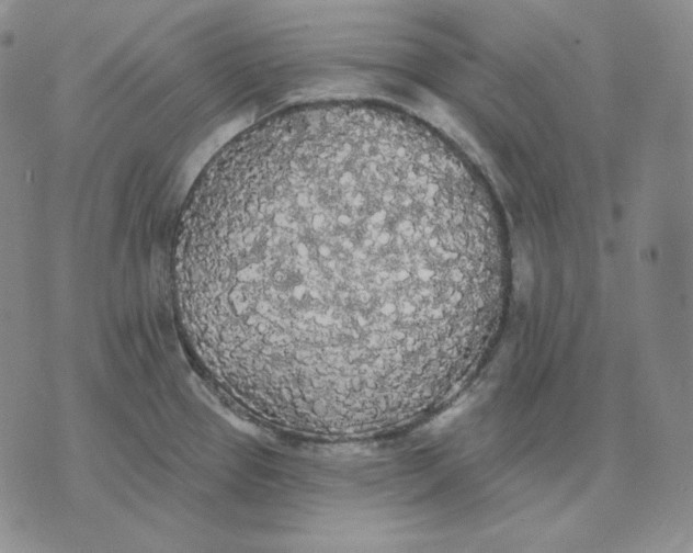 X0000076061337200610152153