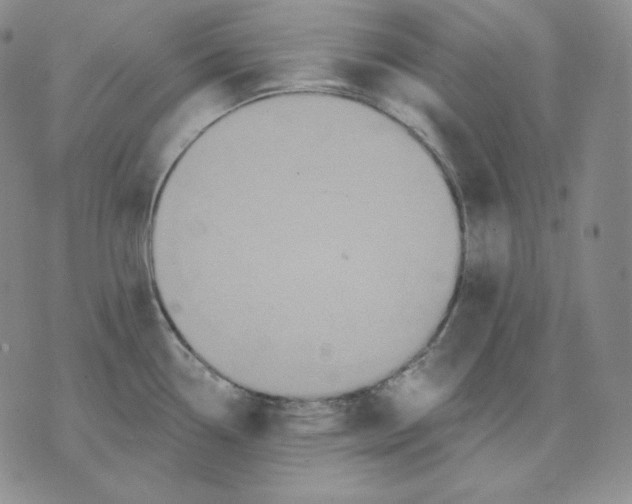 X0000076061338200610152153