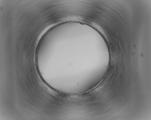 X0000076061339200610152153