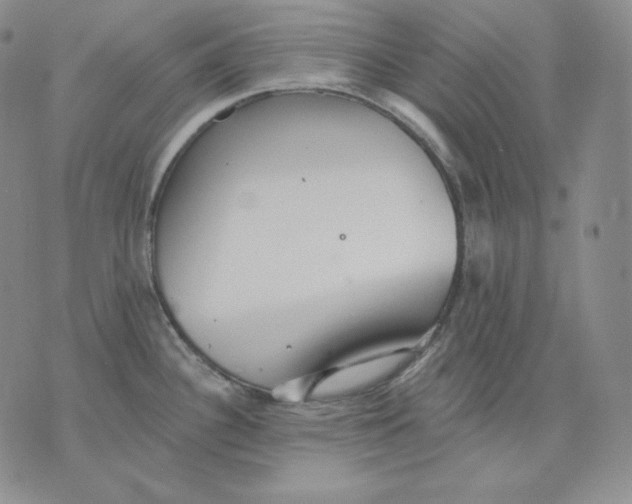 X0000076061340200610152153