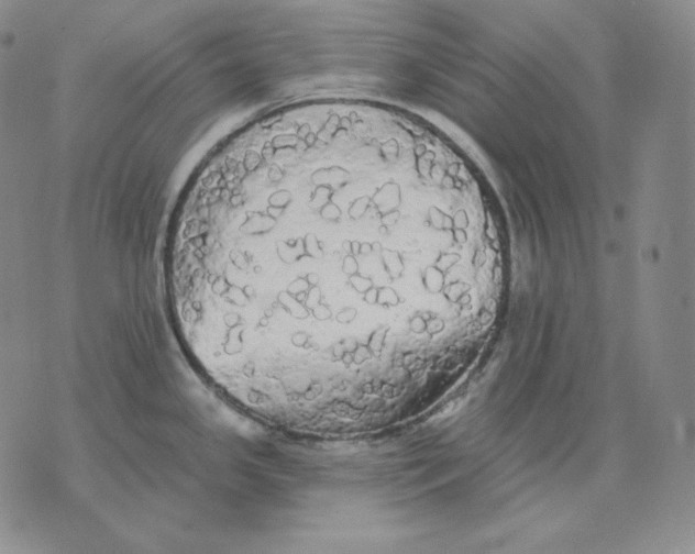 X0000076061341200610152153