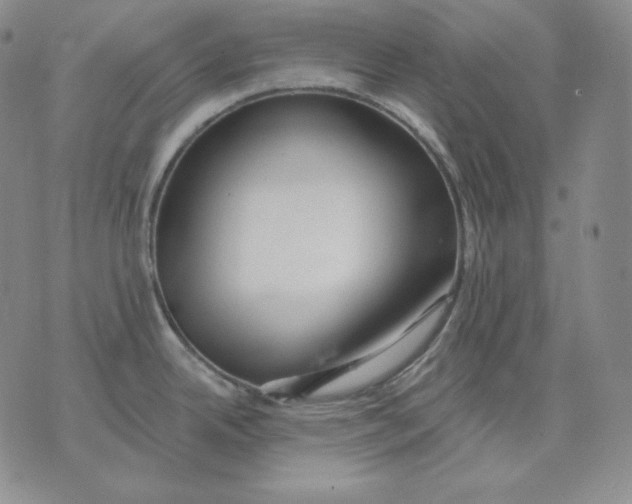 X0000076061342200610152153